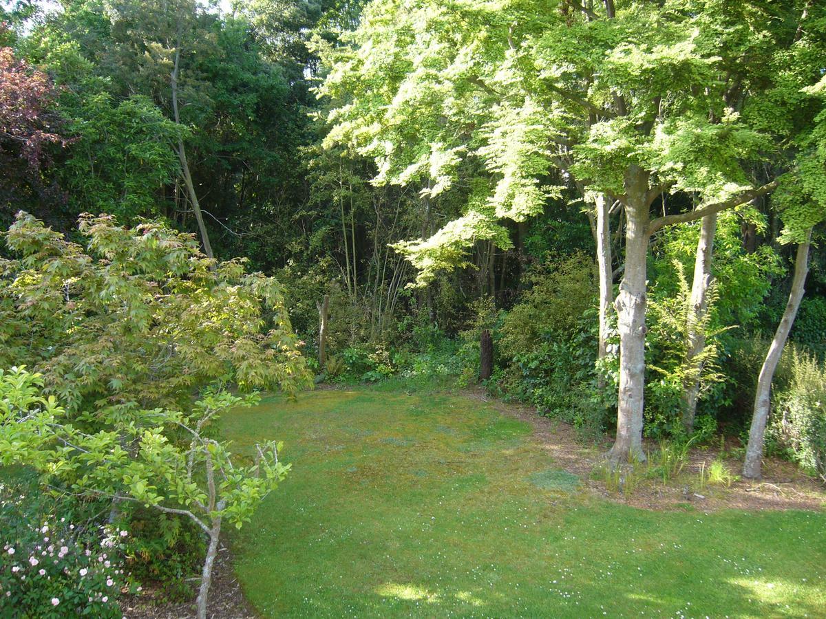 Forest Manor Geraldine Exterior photo
